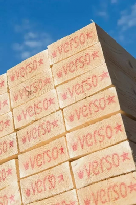 芬蘭維森木業高層到訪融匯高端，深化合作共探木材銷售新機遇